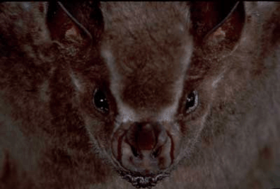 mammals-3-slg28.gif
